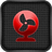 Captcha Bild P8gu3f1s0u2zd8Pk