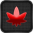 Captcha Bild fS9FGivH7FFRugP8